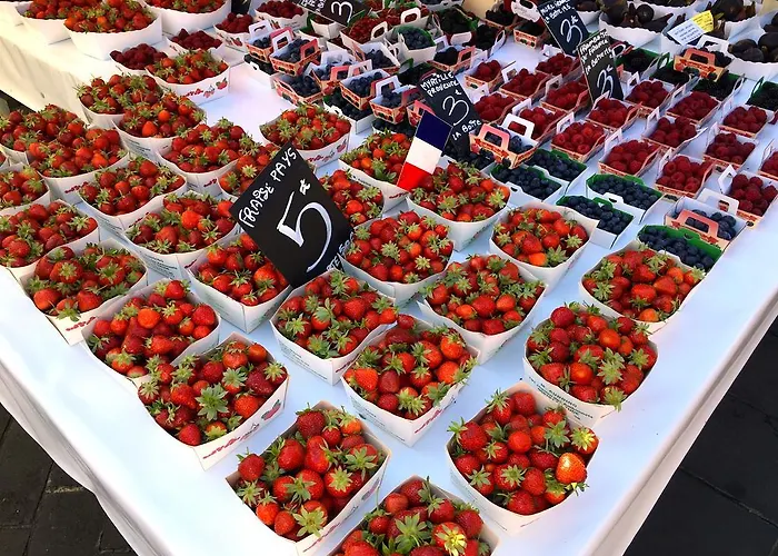 French Riviera Lejlighed *