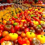 דירה French Riviera ניס